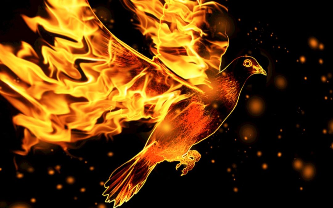 Renungan, 29 April 2019: “Hidup Baru Dalam Roh” (Yoh 3:1-8)